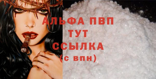 спиды Новозыбков