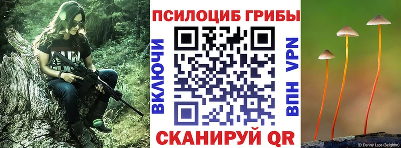 мега ссылка  Новороссийск  Галлюциногенные грибы Psilocybine cubensis 